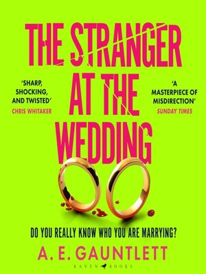 The Stranger at the Wedding - Audiobook